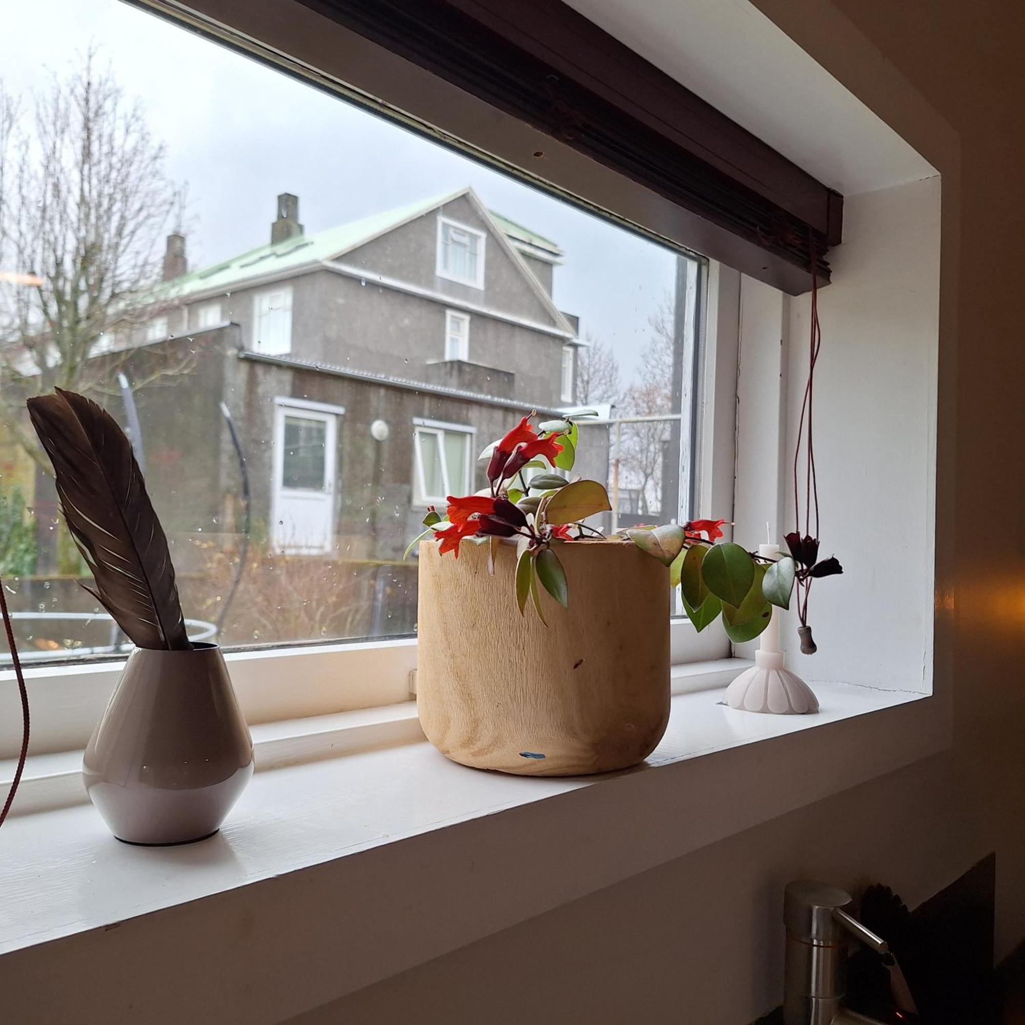 Central Reykjavik - Garden Cottage Luaran gambar